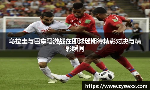im电竞官方网站