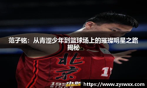 im电竞官网入口